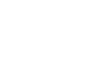 19 Crimes