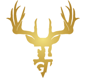 Outlaw Light